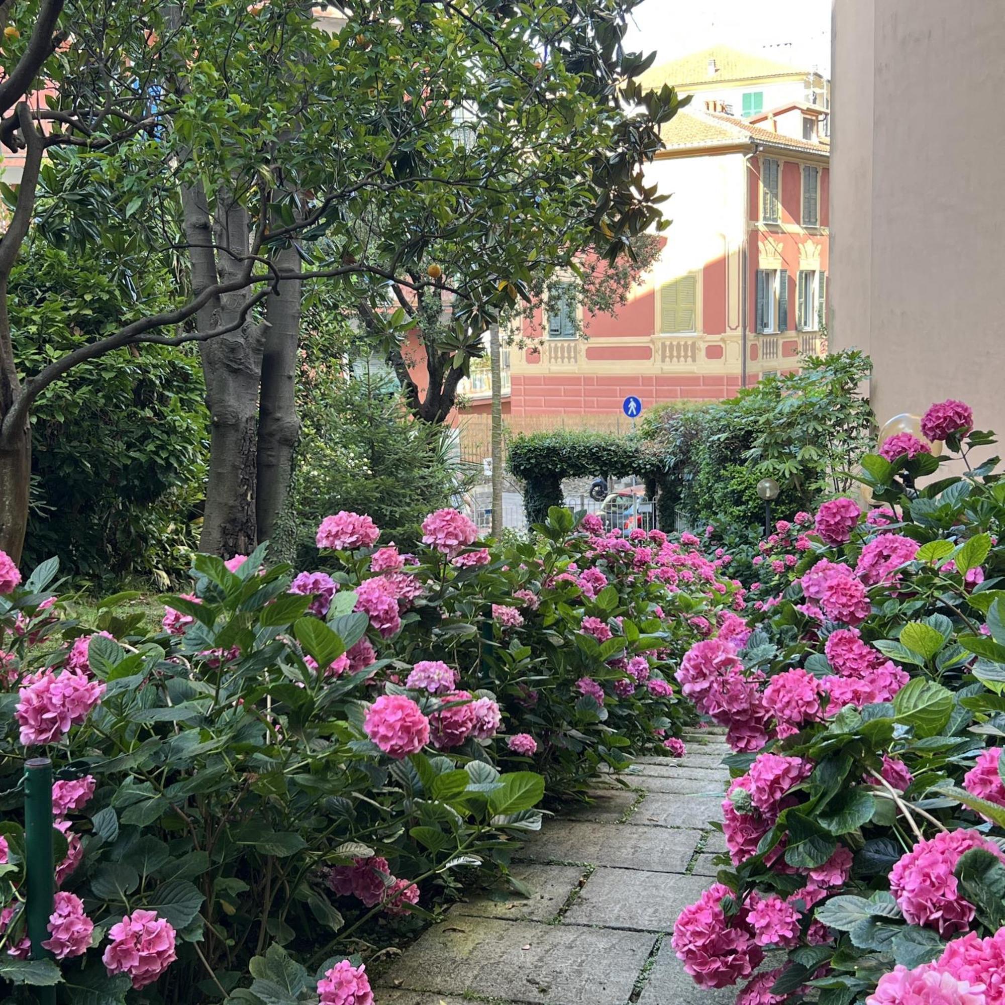 Aquarium Apt Sml Parcheggio Gratis Terrazzo Santa Margherita Ligure Buitenkant foto